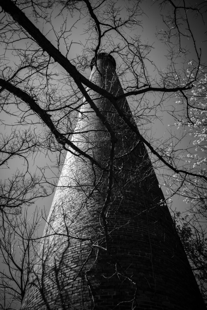 Brick silo at the Glendale Mill ruins in Glendale, South Carolina, seen from below through winter branches.