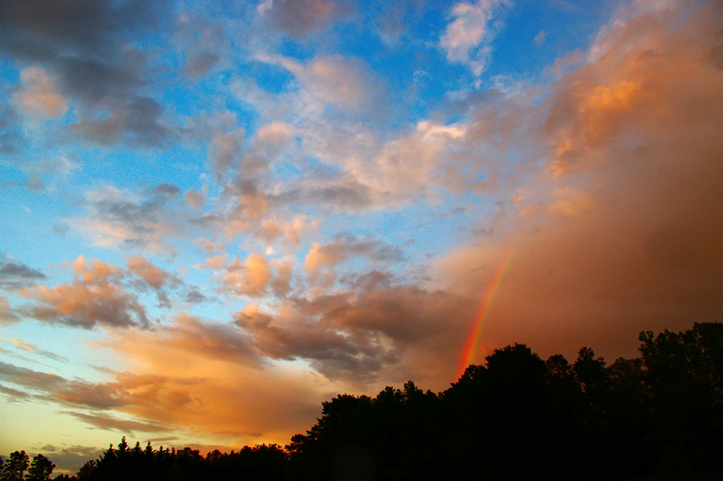 Rainbow over stormy sky in South Carolina landscape
