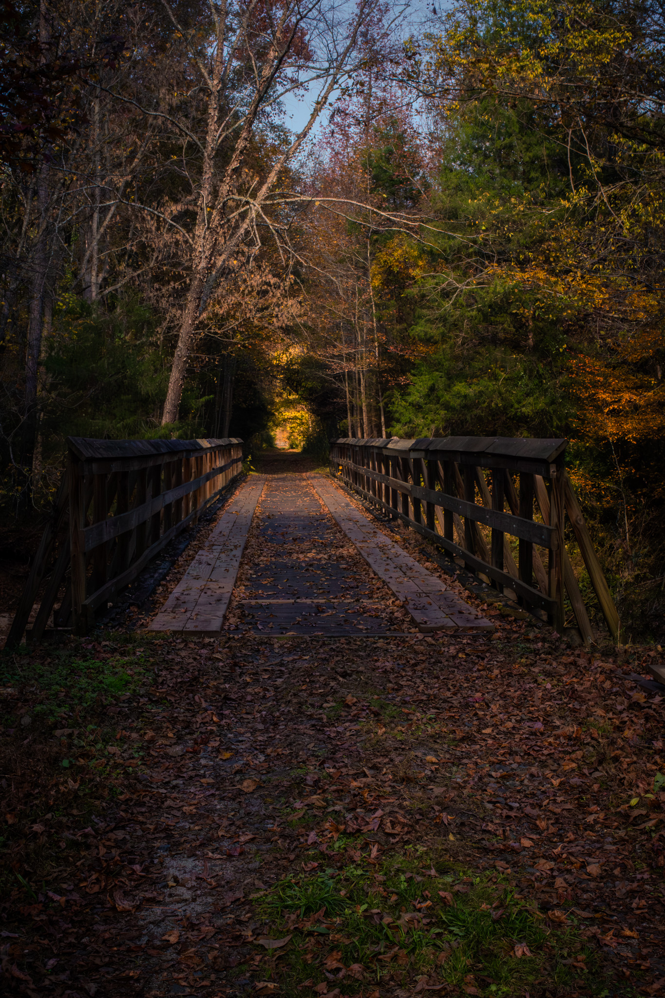 Wooden trestle bridge on the Peak to Prosperity Trail in the South Carolina Midlands, lit by late-afternoon autumn sunlight.